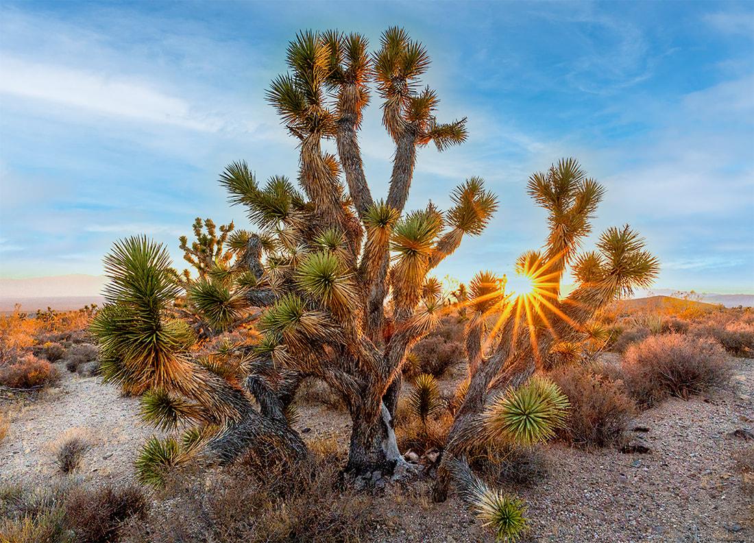 Wilderness Hikes in the American West - EXPLORUMENTARY.com ...